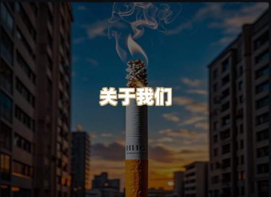 关于星澜香烟网